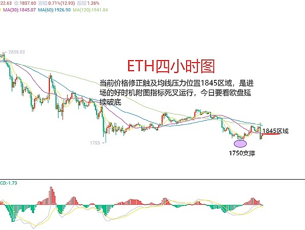 xPet现象：SocialFi新秀的机遇与隐忧